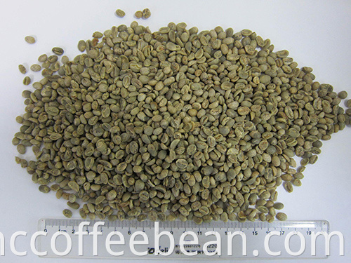 Grains de café vert du yunnan chinois, écran 12-14, type arabica